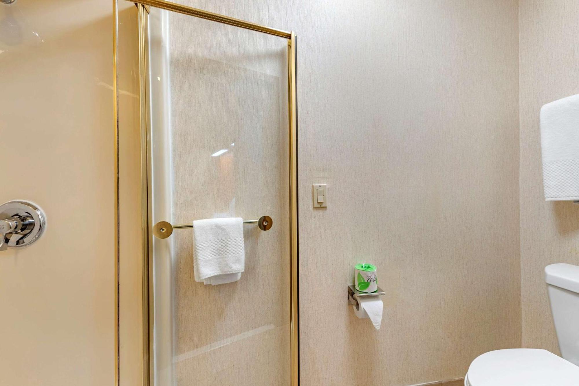 King Room - Non-Smoking