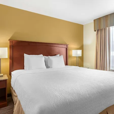 Best Western Executive Inn & Suites-2