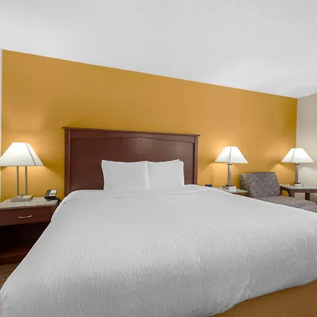 Best Western Executive Inn & Suites-3