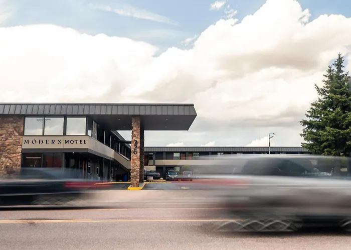 Dog Friendly Hotels Colorado SpringsModern Motel